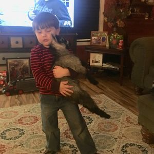 Meet your Posher, Alan